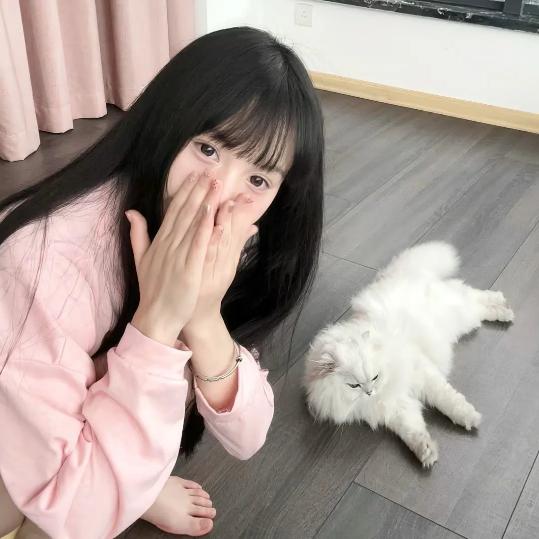 婚词离曲